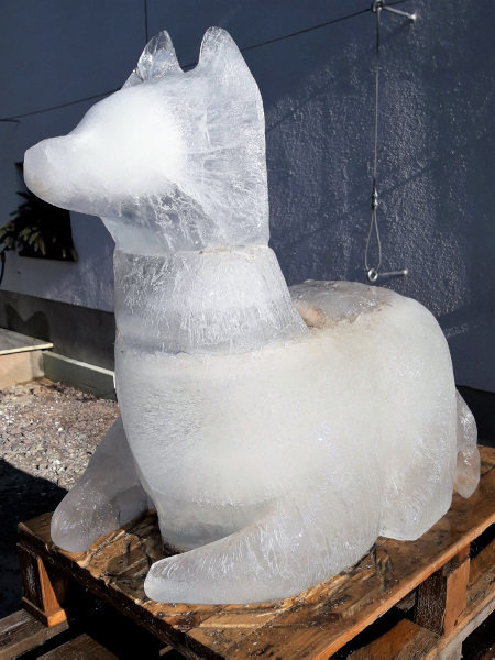 Schon immer ein Gedanke, einmal eine Eis-Skulptur sägen. 2018 war eine Woche Frost und ich habe es geschafft.\\n\\n04.03.2018 21:05